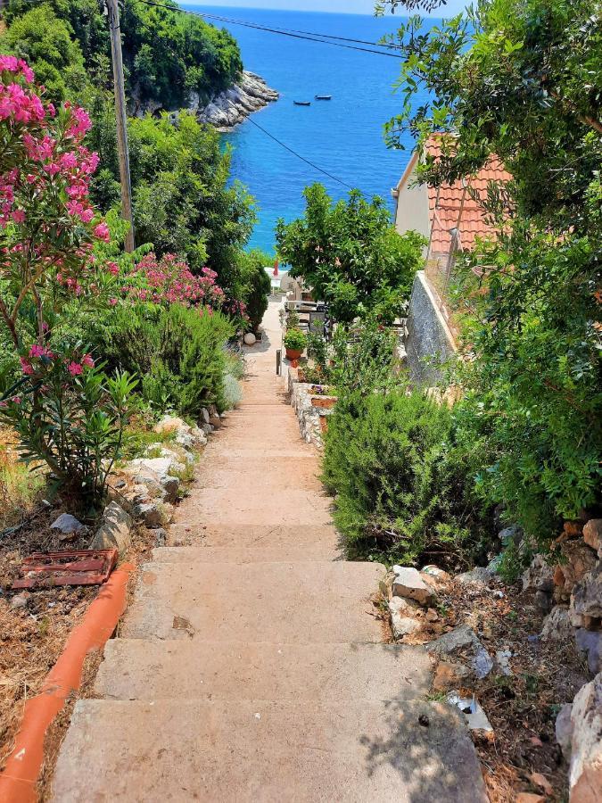 Belleview Apartments Vrbica Dubrovnik Ngoại thất bức ảnh